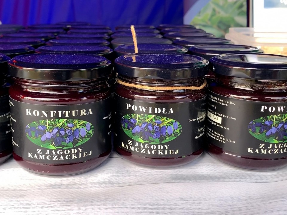 Jagoda Kamczacka zwana "super owocem" od Janusza i Ewy Świątkowskich